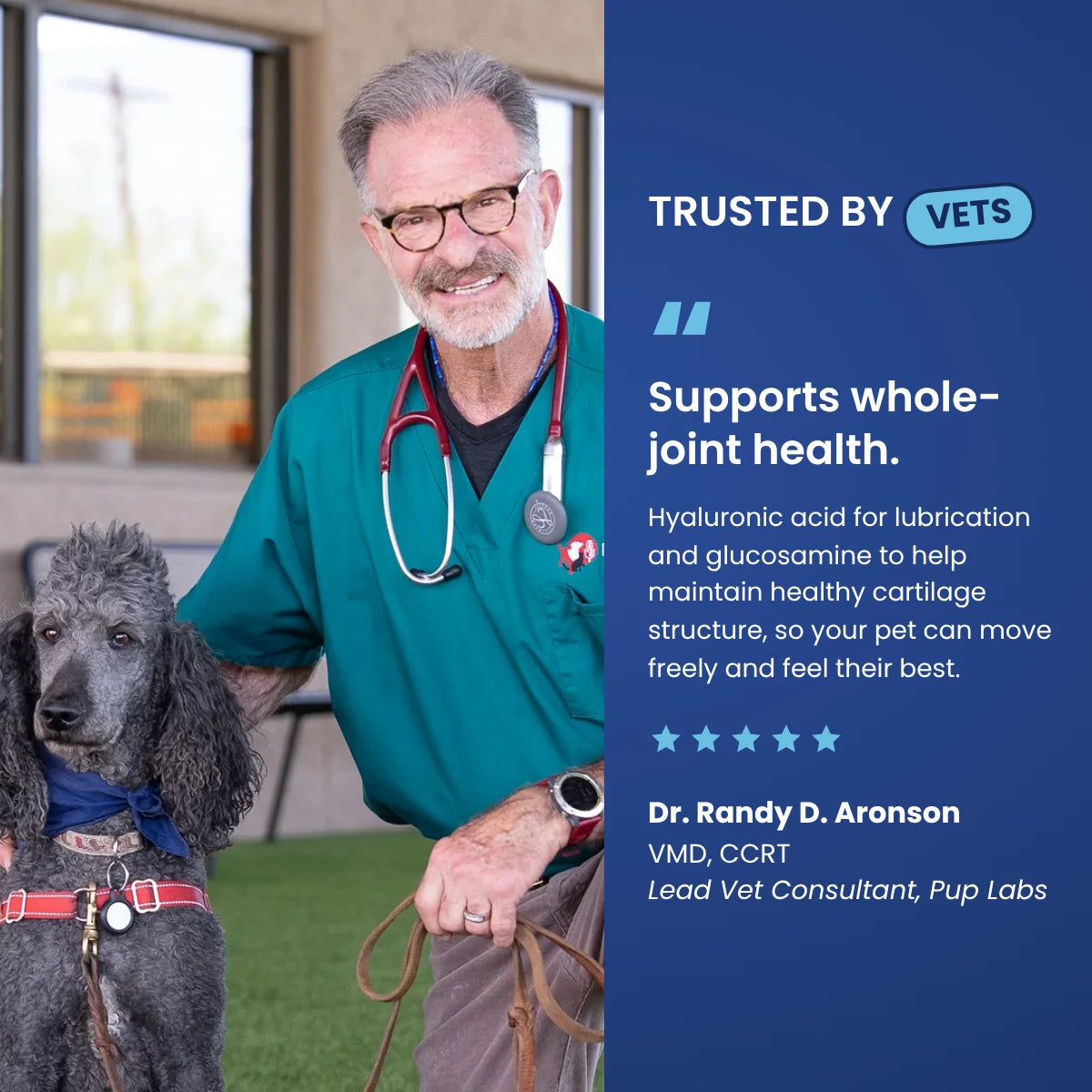 Trusted by vets: Dr. Randy D. Aronson, VMD, CCRT