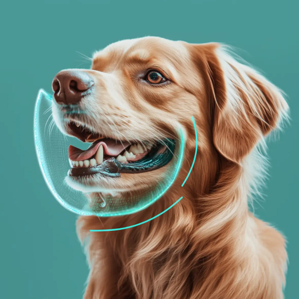 A Comprehensive Look At ProDenta for Dogs: Benefits & Reviews