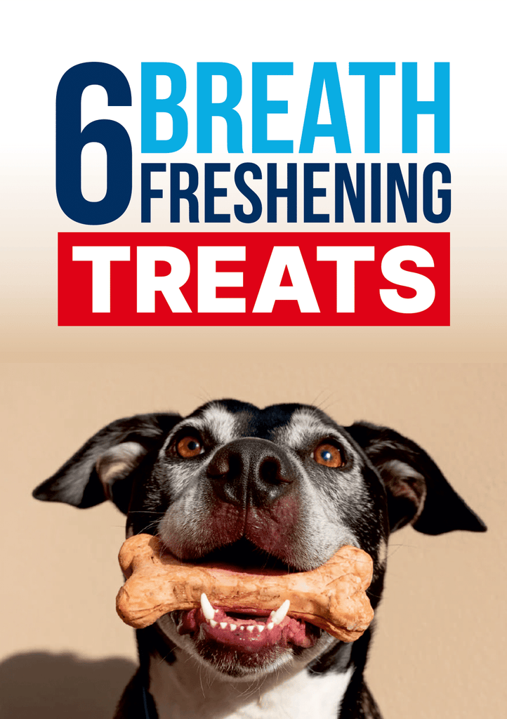Vet-Approved Dog Dental Diet Recipes hidden Pup Labs