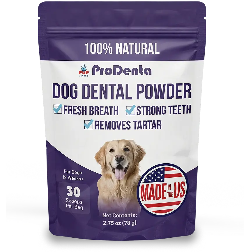 ProDenta (Dental Health)