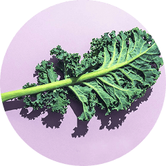 Flavonoid Superfoods