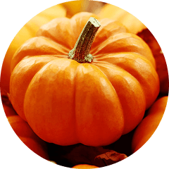 Pumpkin