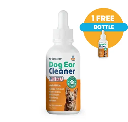 Buy 1 Get 1 Free