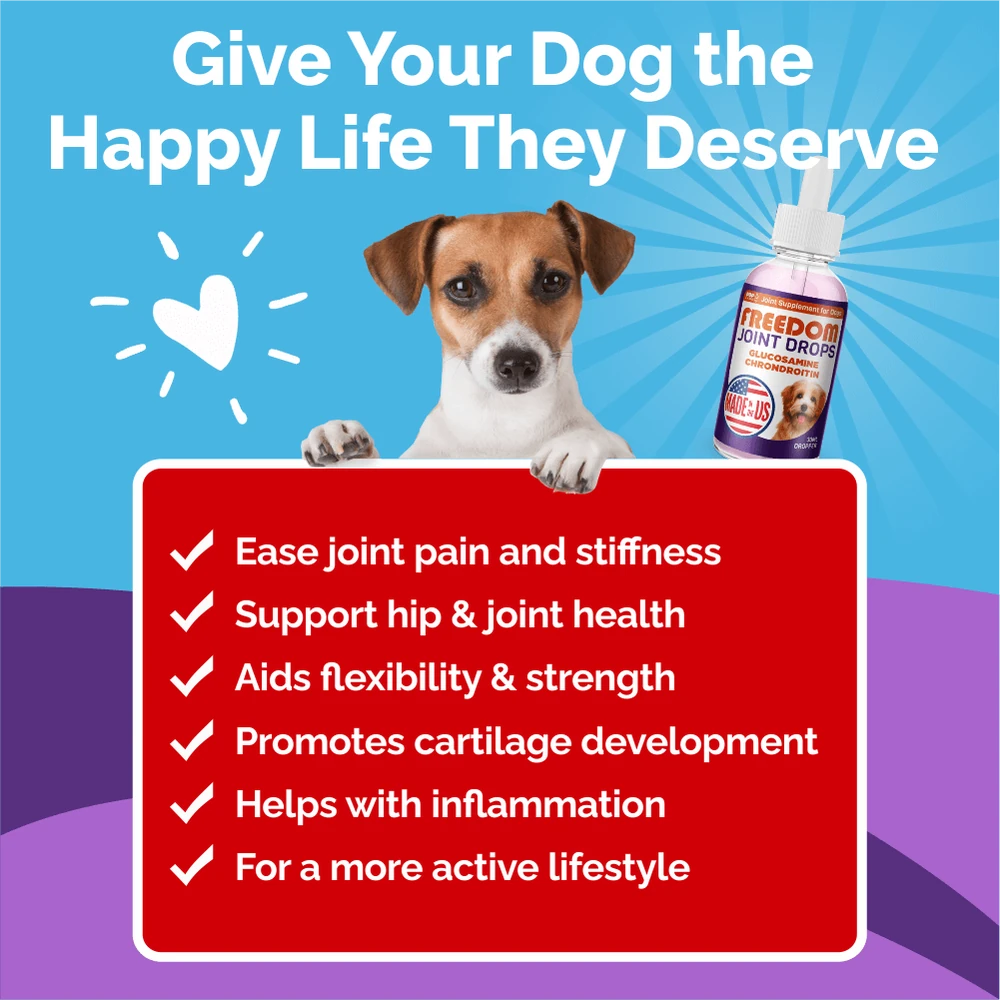 Give your dog the happy life they deserve