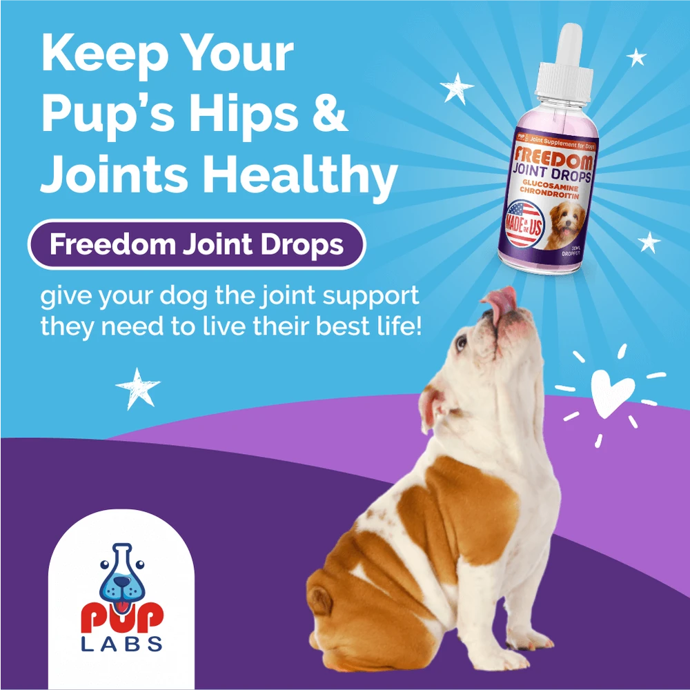 Keep your pup’s hips and joints healthy