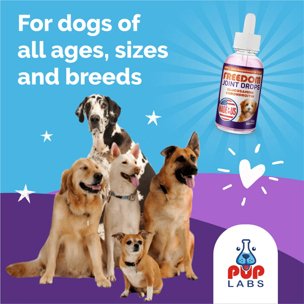 For dogs of all ages, sizes and breeds