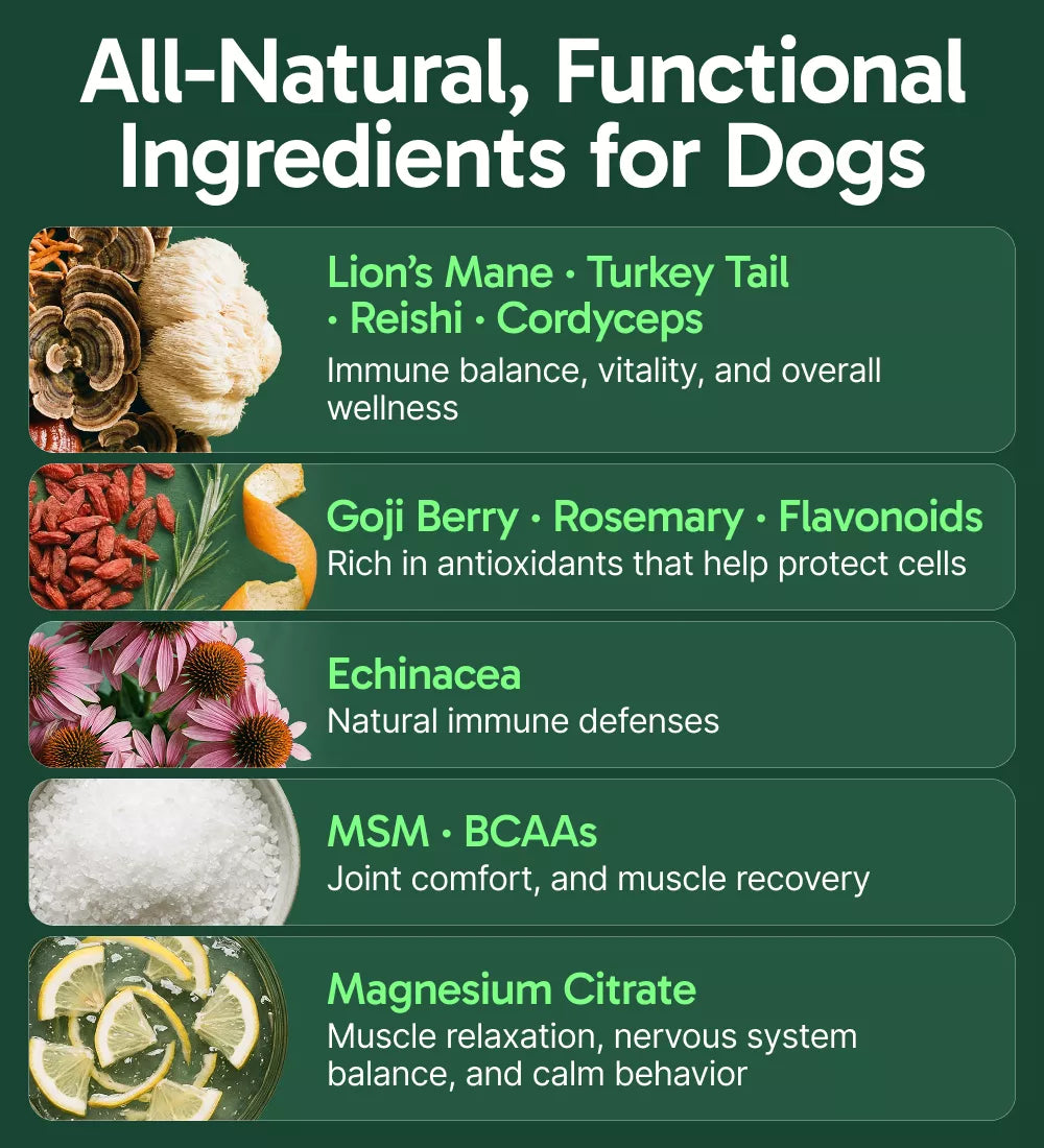 K9 Immune - Immune Support Supplements for Dogs | PupLabs – Pup Labs