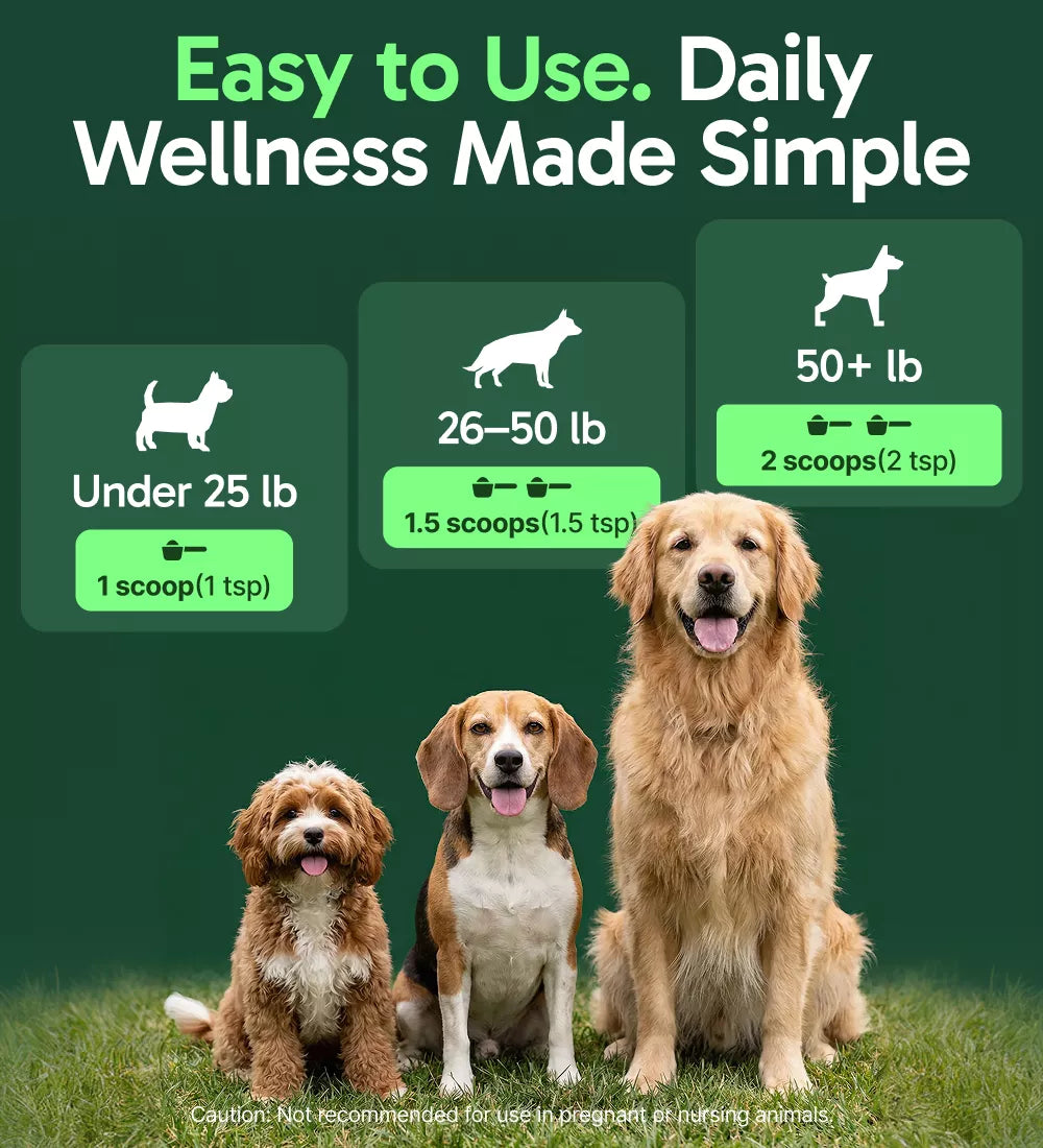 K9 Immune - Immune Support Supplements for Dogs | PupLabs – Pup Labs