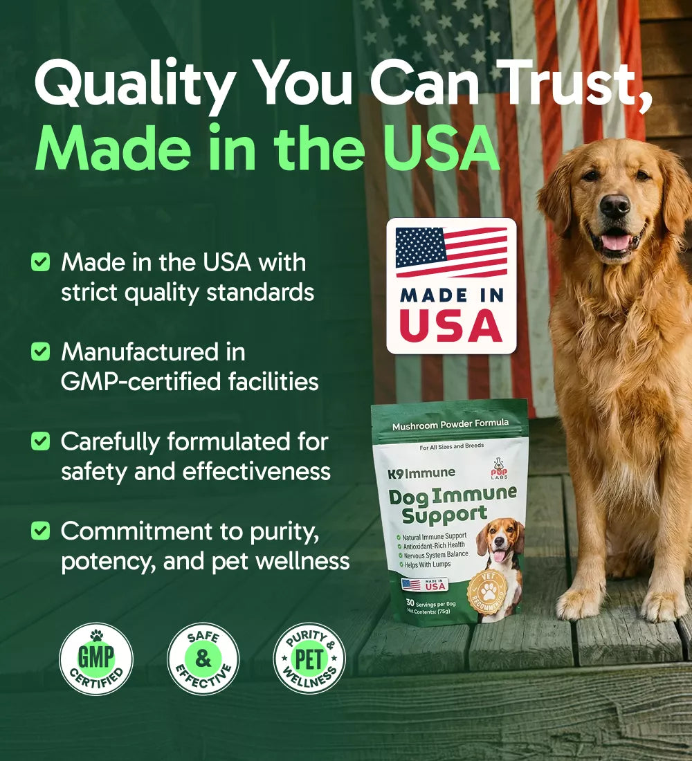 K9 Immune - Immune Support Supplements for Dogs | PupLabs – Pup Labs