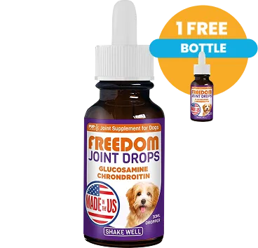 Buy 1 Get 1 Free