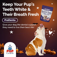 Keep your pup's teeth white
