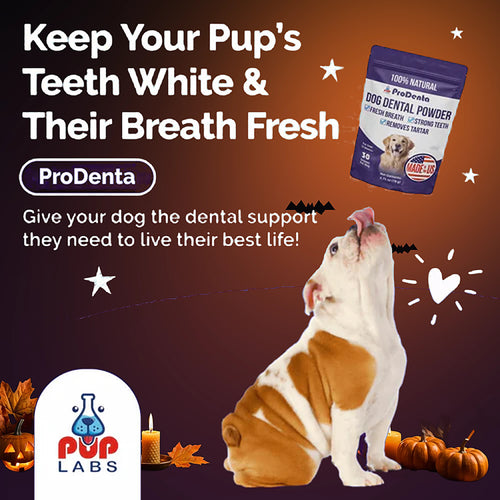 Keep your pup's teeth white
