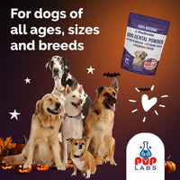 For dogs of all ages, sizes and breeds