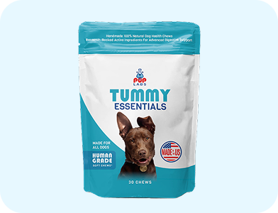 360 Support Bundle – Pup Labs 360 Support Bundle – Pup Labs