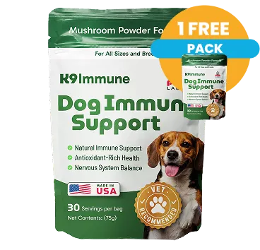 Buy 1 Get 1 Free