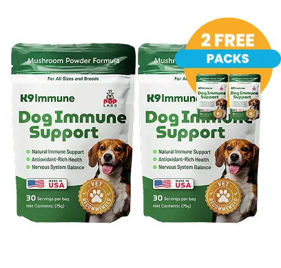 Buy 2 Get 2 Free