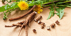 Dandelion Root