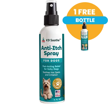 Buy 1 Get 1 Free