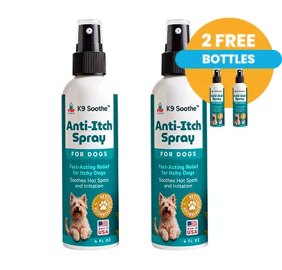 Buy 2 Get 2 Free