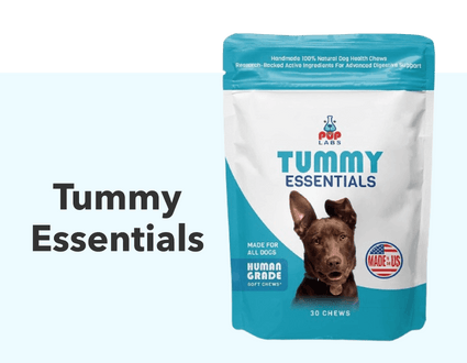 Tummy Essentials Digestive Chews