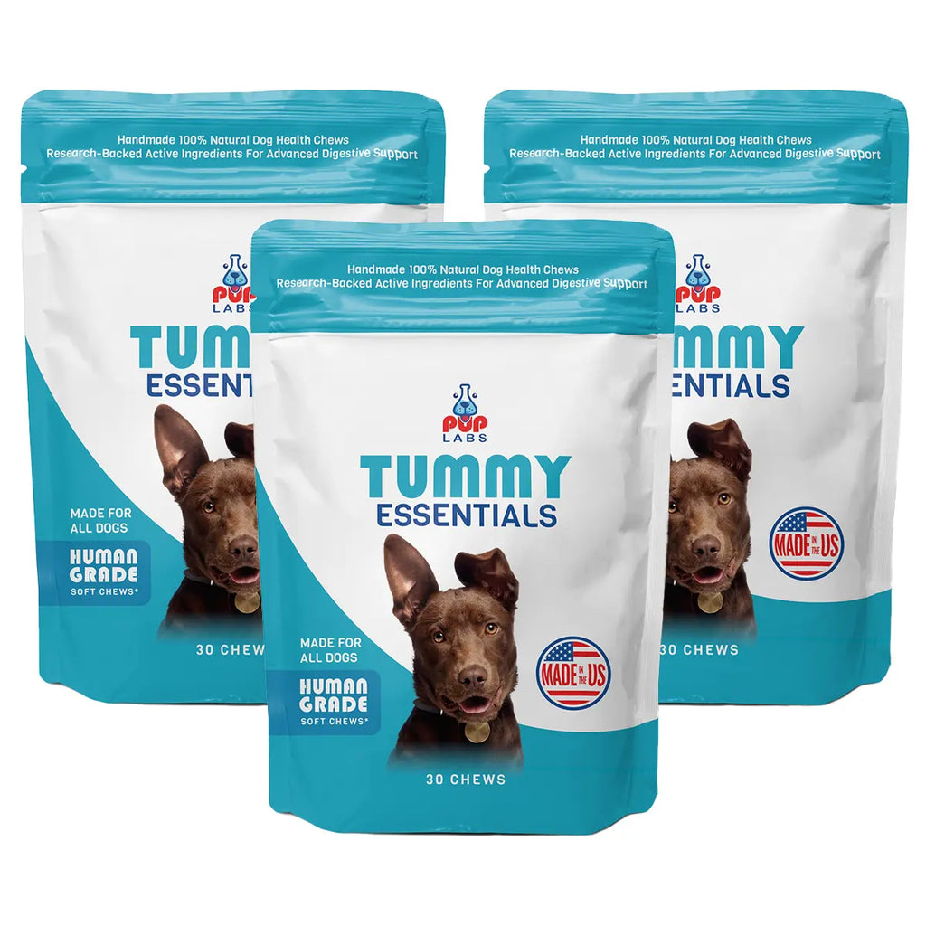Tummy Essentials Digestive Chews puplabsco 3 Packs