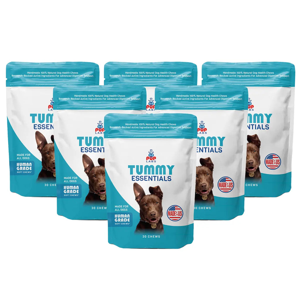 Tummy Essentials Digestive Chews puplabsco 6 Packs