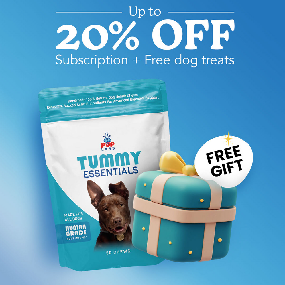 Tummy Essentials Digestive Chews