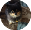 Frankie L.