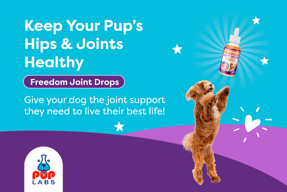 Join Aid Freedom Joint Drops for Dogs - Vet Approved - Pup Labs