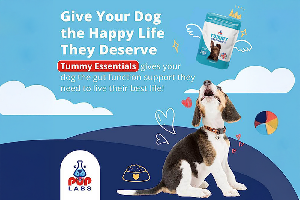 PupLabs Dog Probiotics