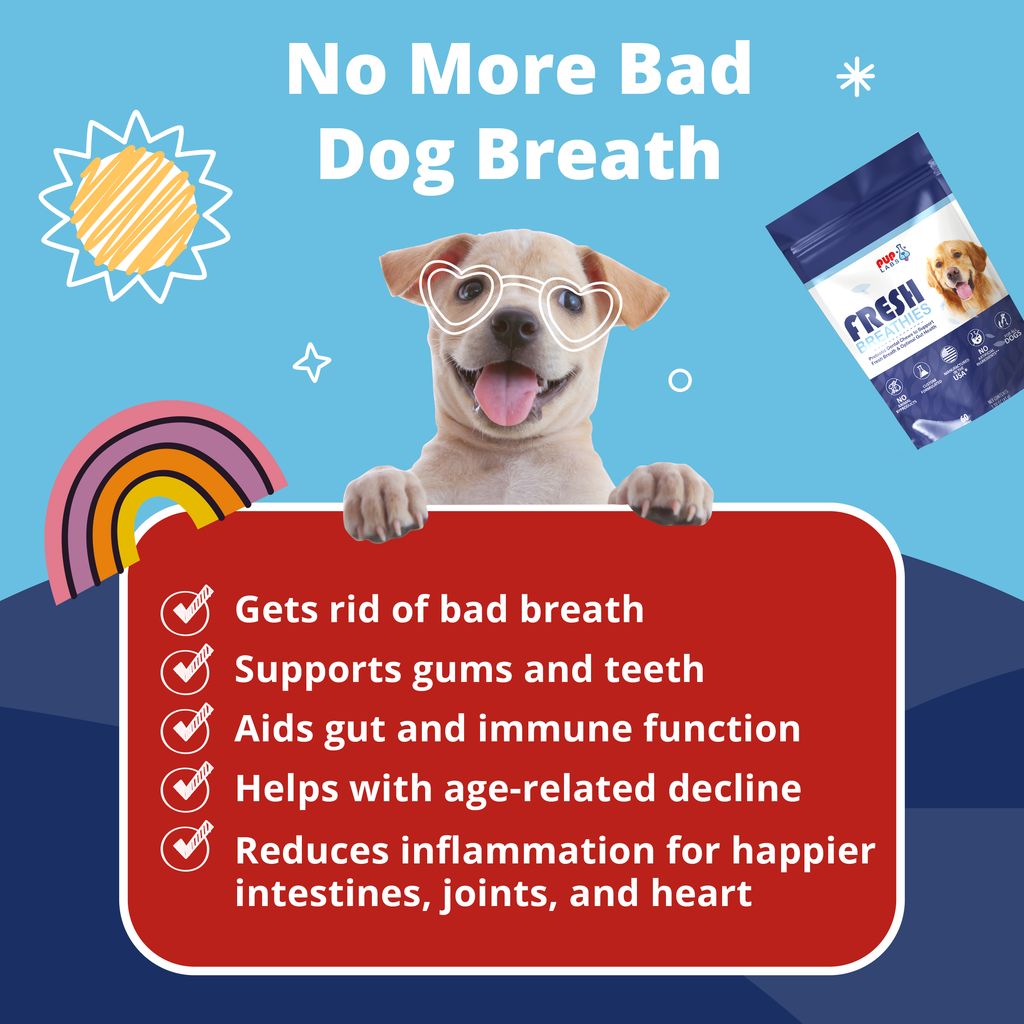 Fresh Breathies Dental Health Chews puplabsco